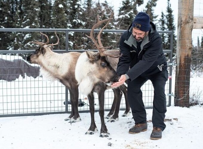 Reindeer Meet and Greet