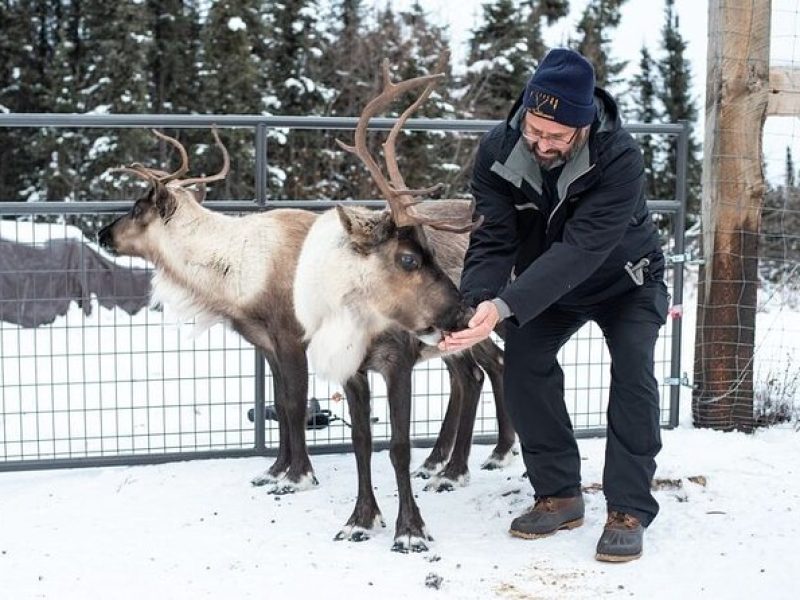 Reindeer Meet and Greet