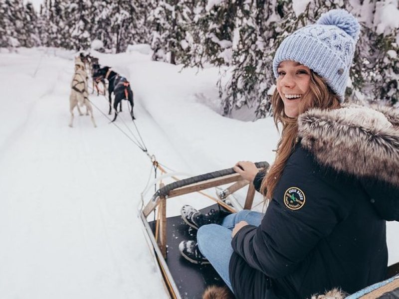 One Hour Experience Dog Sledding