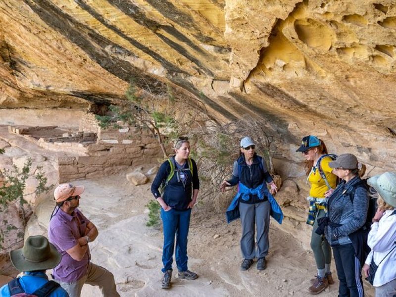 Mesa Verde Express Tour With Tickets To Cliff Palace