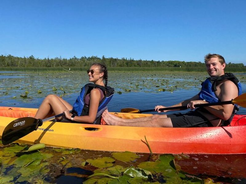 Wetlands Kayak Tour