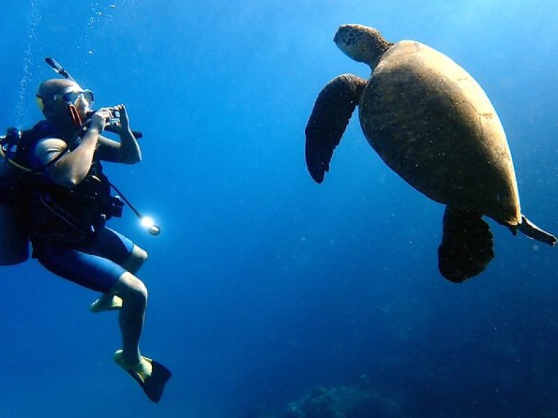 Private and Personalized Scuba Diving Adventures for All Experience Levels