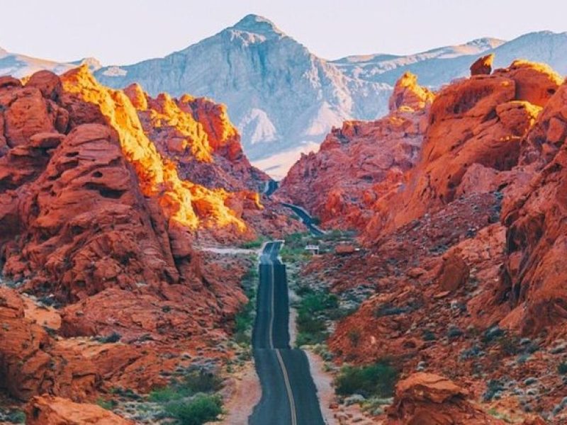 Valley of Fire and Mojave Desert Day Tour from Las Vegas