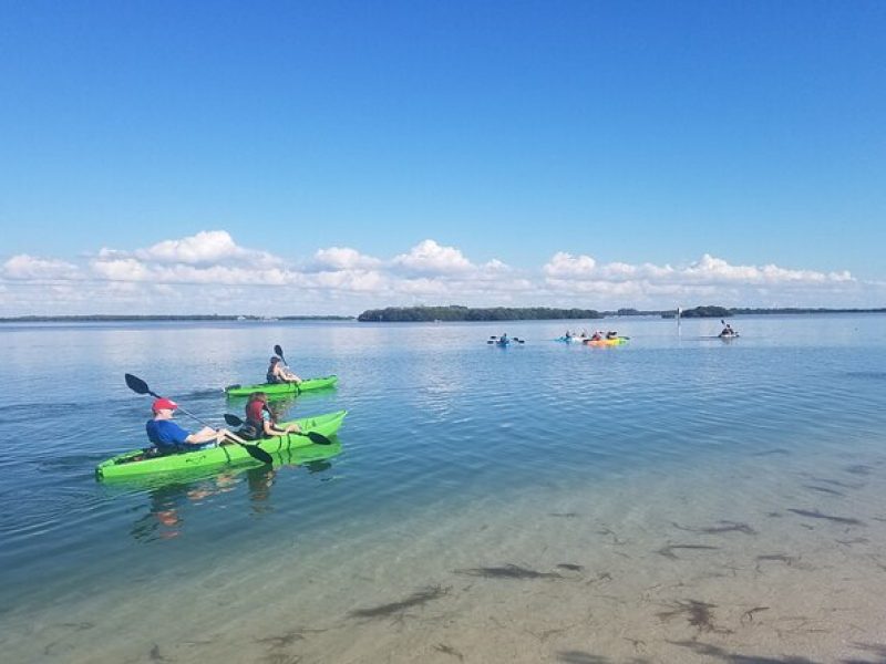 Guided Kayak EcoTour of Beautiful Shell Key Preserve