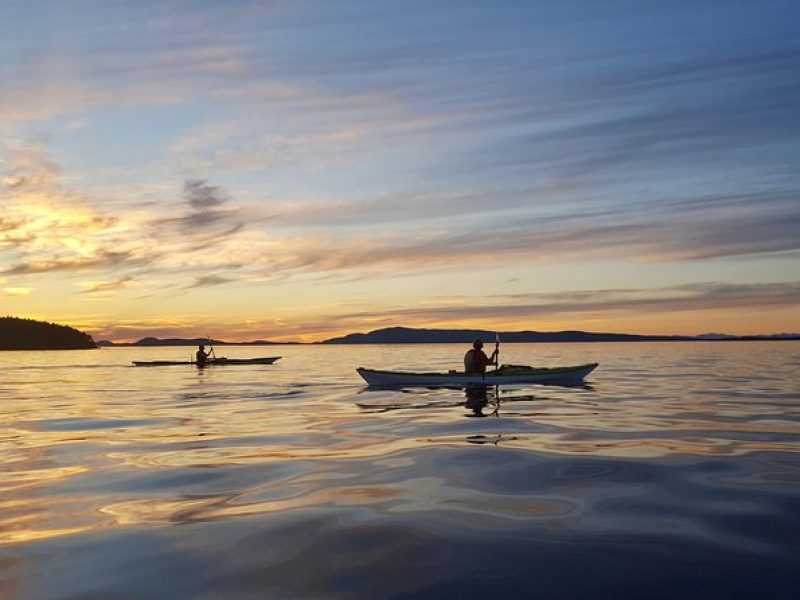 Full Day San Juan Island Kayaking Adventure