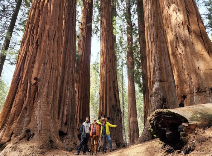 Private Guided Hiking Tour – Sequoia National Park