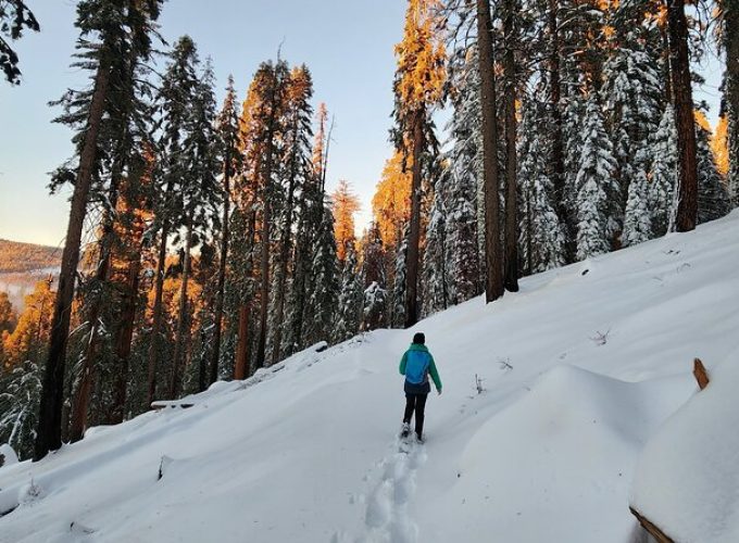 Private Snowshoe Adventure – Sequoia National Park