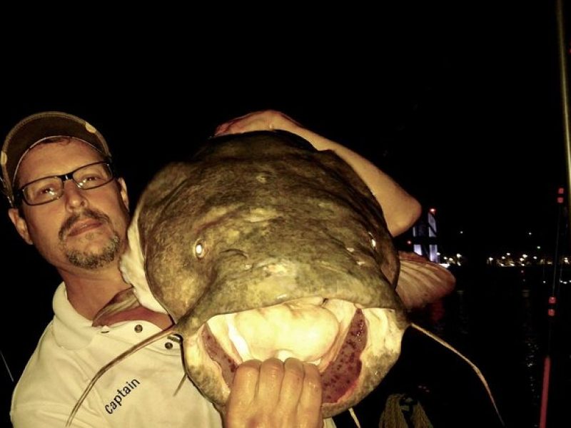 5-Hour Private Catfish Fishing Tour