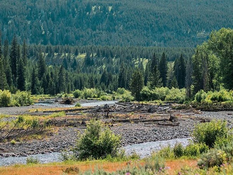 Lamar River Valley Day Hike Tour