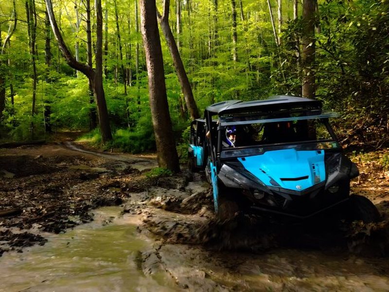 New River Gorge Side by Side Family Tour