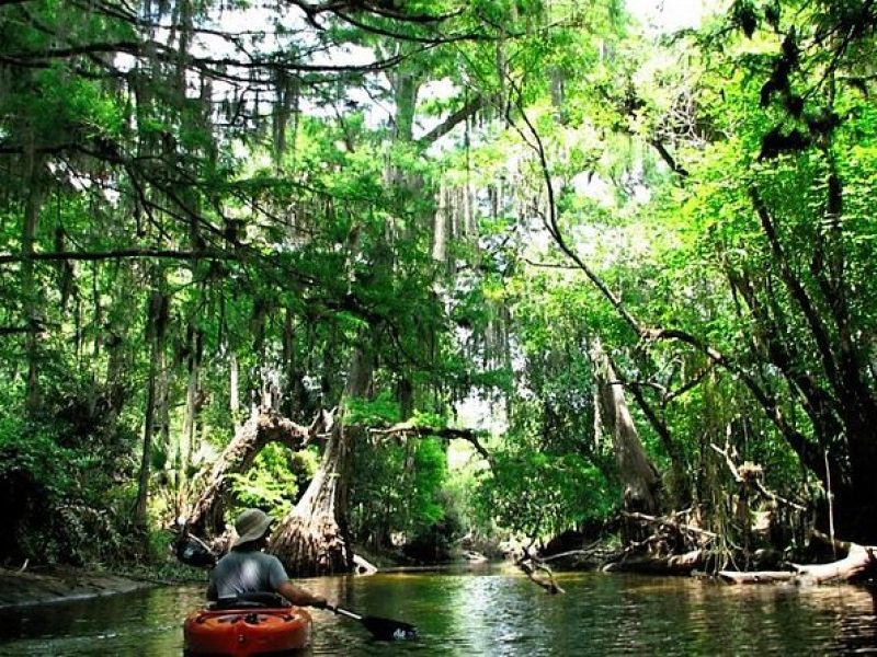 Wild & Scenic Loxahatchee River Guided Tour