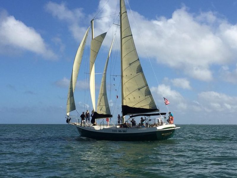 Schooner Clearwater- Afternoon Sailing Cruise-Clearwater Beach