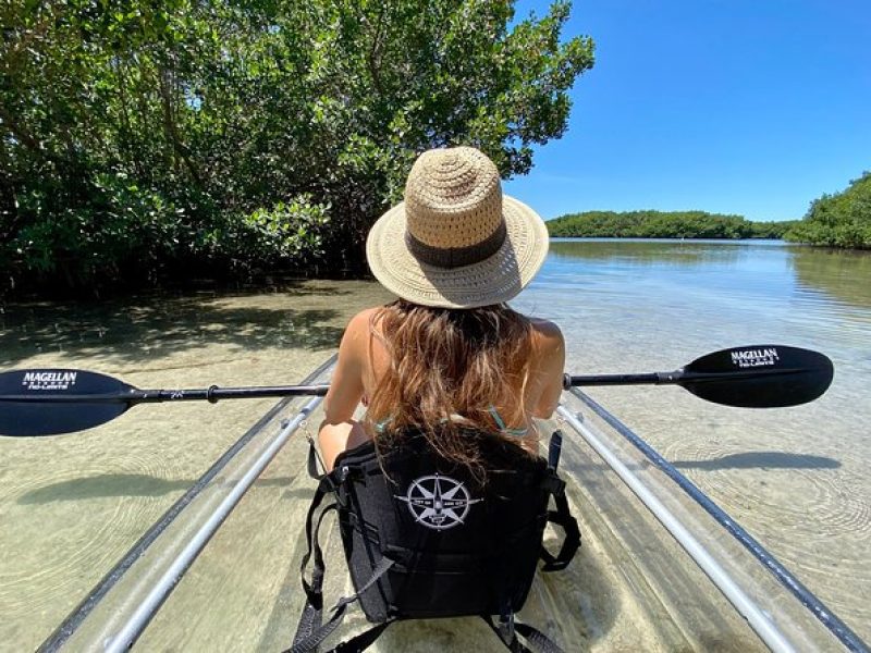 Clear Kayak Tour of Shell Key Preserve and Tampa Bay Area