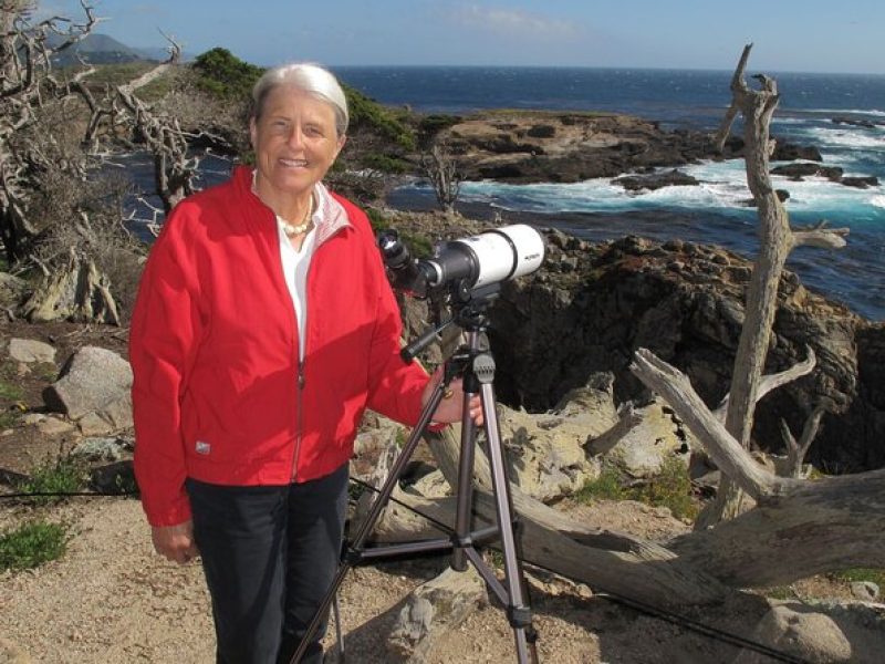 Guided 2-Hour Point Lobos Nature Walk