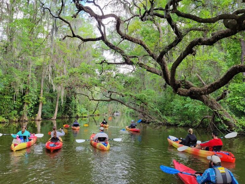 Half day kayak and paddle board rentals on the scenic Dora Canal