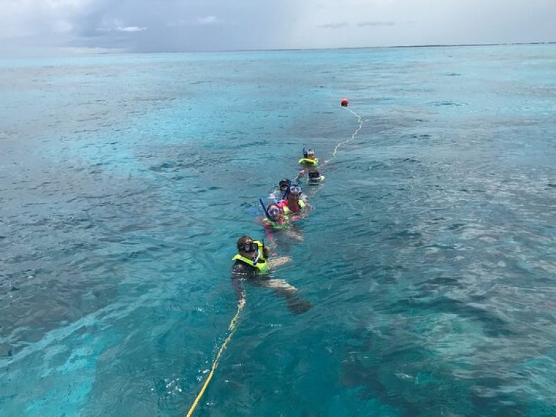 Snorkel Tours of the Key Largo reef for up to 6 people