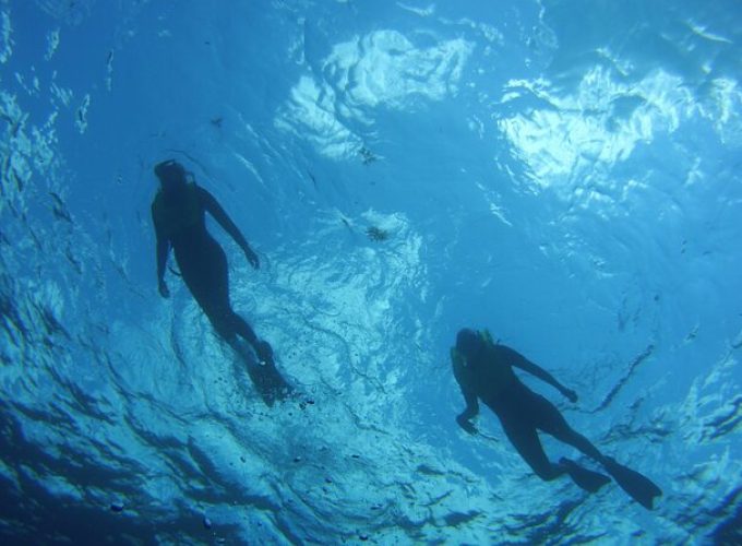 Private Snorkel Charter to the Key Largo Reef for Group up to 10