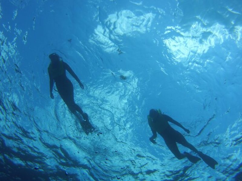 Private Snorkel Charter to the Key Largo Reef for Group up to 10