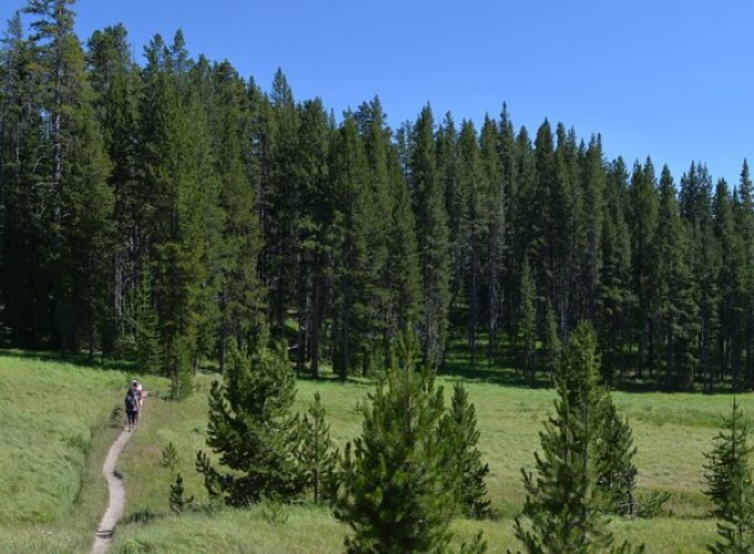 Classic Yellowstone Hike to the Shores of Lake Shoshone (Private up to 8 people)