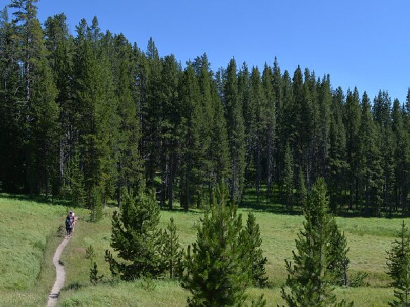 Classic Yellowstone Hike to the Shores of Lake Shoshone (Private up to 8 people)