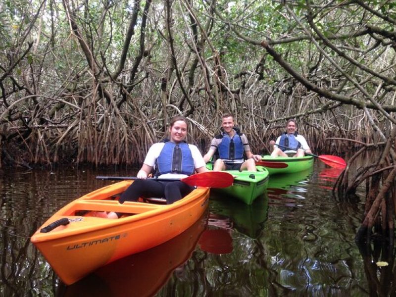 Marco Island Mangrove Tunnel and Maze Adventure Small group size