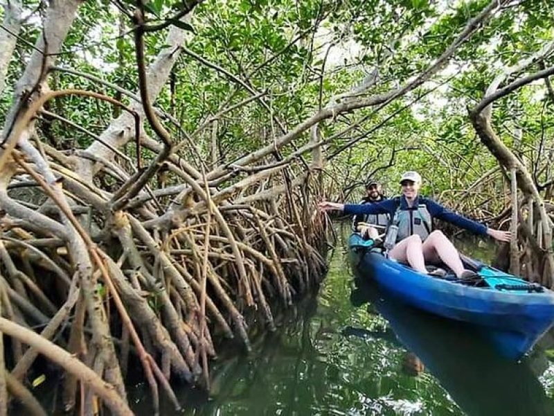 Thousand Islands Mangrove Tunnel Kayak Tour with Cocoa Kayaking!