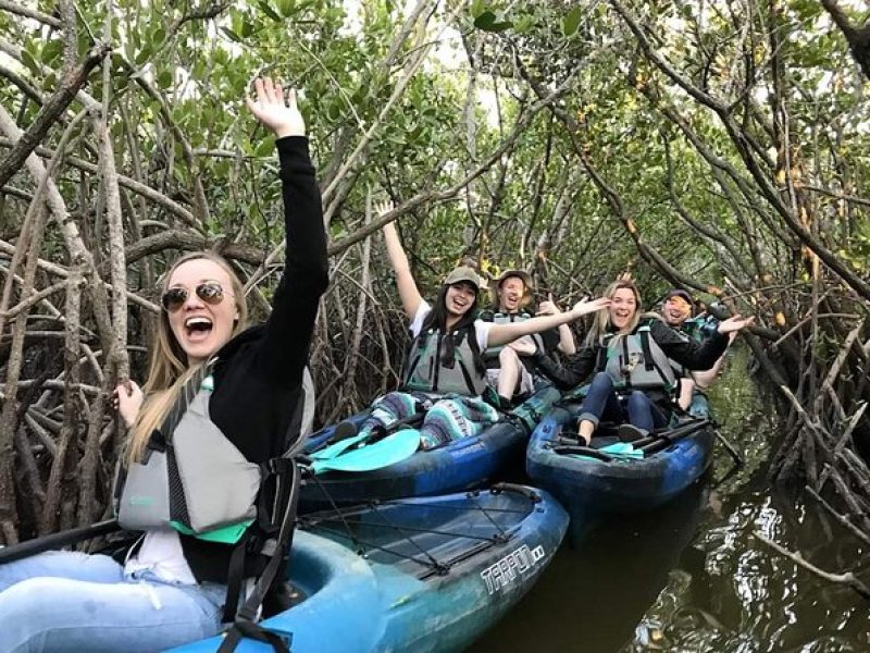 Thousand Island Mangrove Tunnel, Manatee & Dolphin Kayak Tour w/Cocoa Kayaking