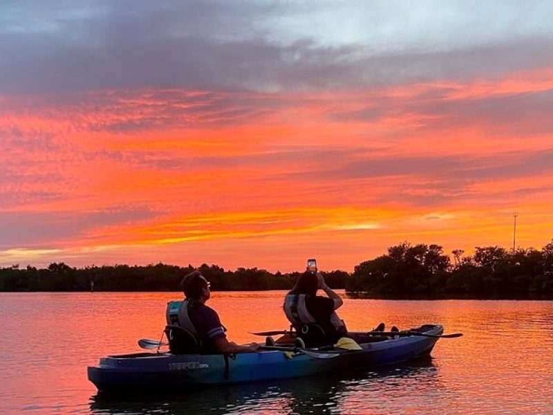 Thousand Islands Mangrove Tunnel & Bio Comb Jelly Sunset Tour