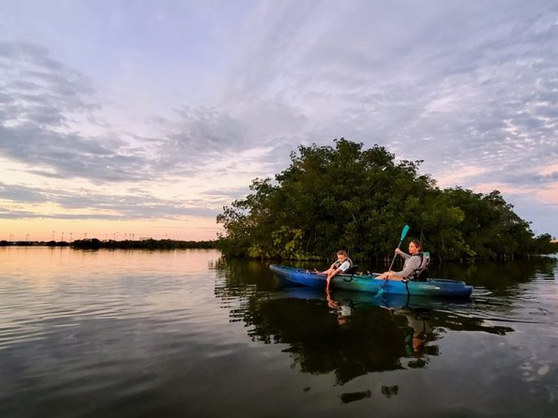 Thousand Islands Mangrove Tunnel Sunset Kayak Tour with Cocoa Kayaking!