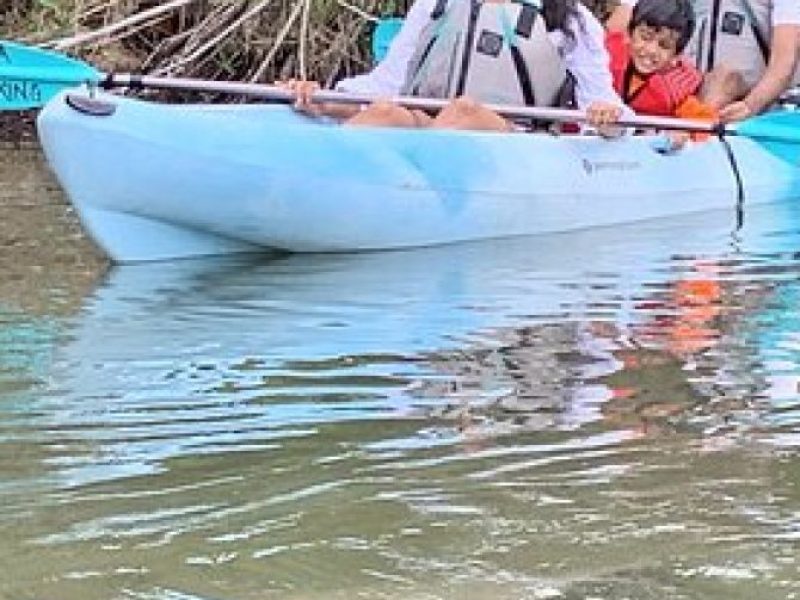 Wildlife Refuge Manatee, Dolphin & Mangrove Kayak or Paddleboarding Tour!