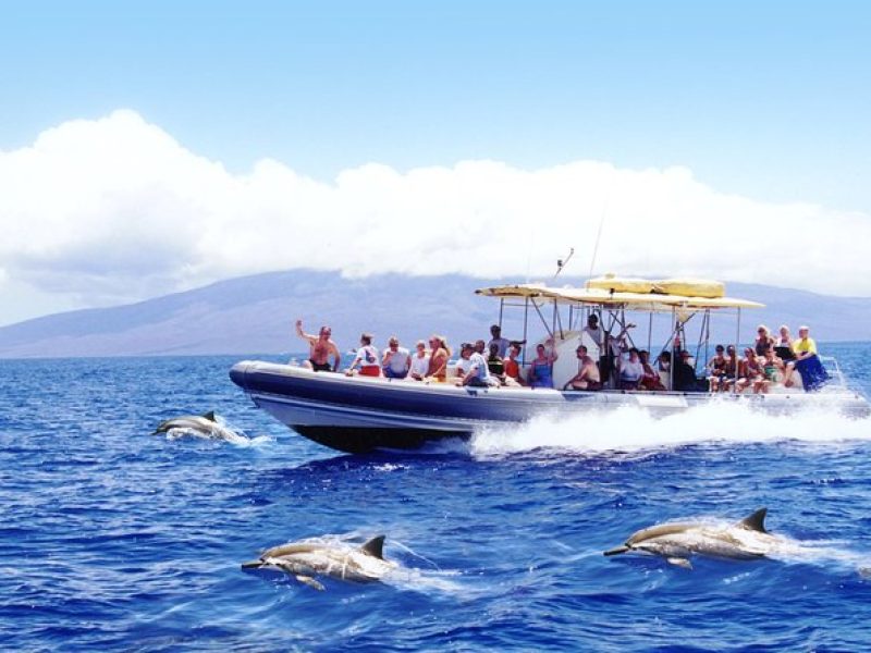 Maui's Best Lanai Snorkel and Dolphin Raft Adventure