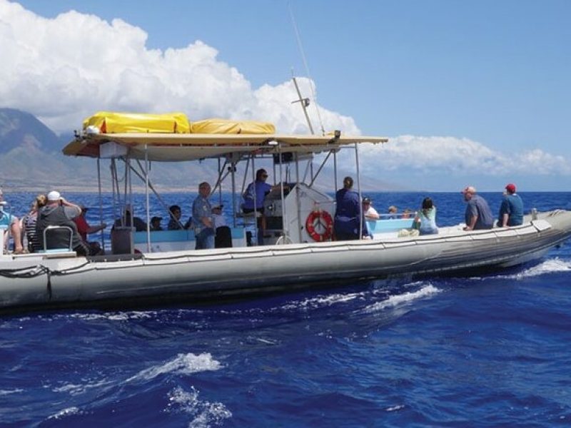 Maui's Best Coral Gardens Snorkel and Raft Adventure