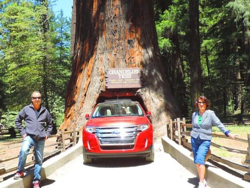 Redwood National Park Tour 2-Day Private Tour Package Hotel Included