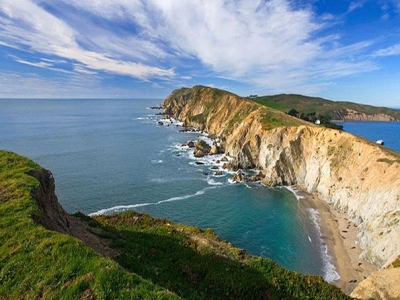 Discover Point Reyes National Seashore & Muir Woods Redwoods