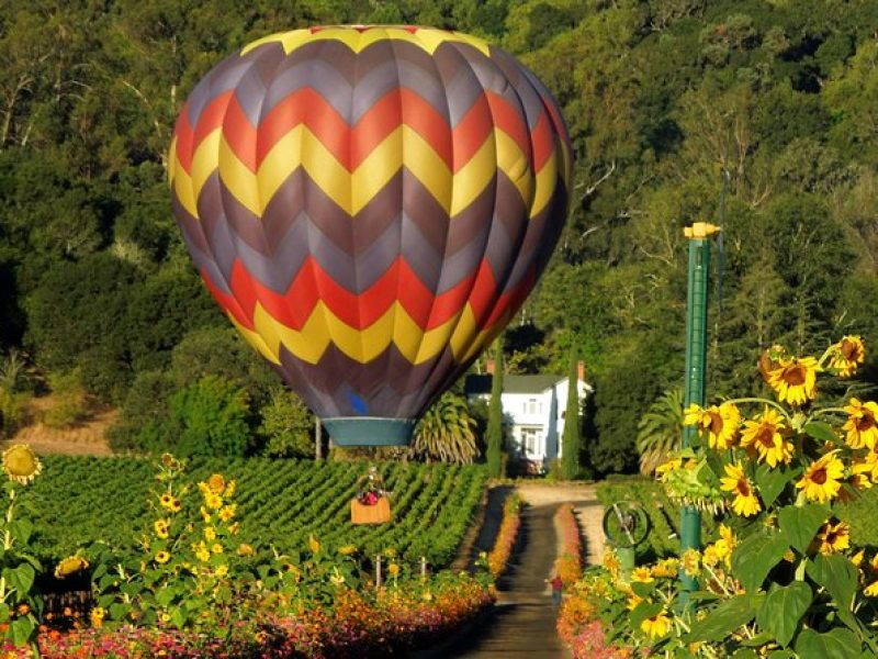 Thrilling Napa Balloon Ride: No change after 5pm the day prior to balloon tour