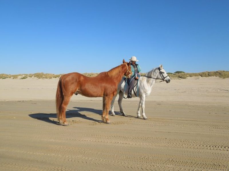 Horseback Ride on the Beach & Alcatraz Tour in San Francisco