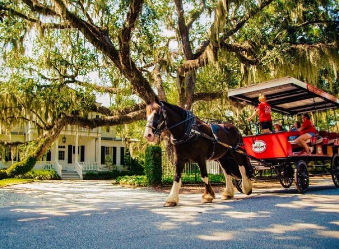 Beaufort’s #1 Horse & Carriage History Tour