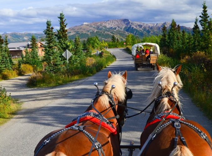 Horse-Drawn Covered Wagon Ride with Backcountry Dining