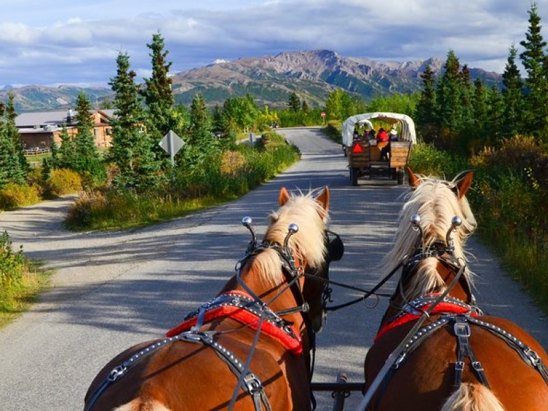 Horse-Drawn Covered Wagon Ride with Backcountry Dining