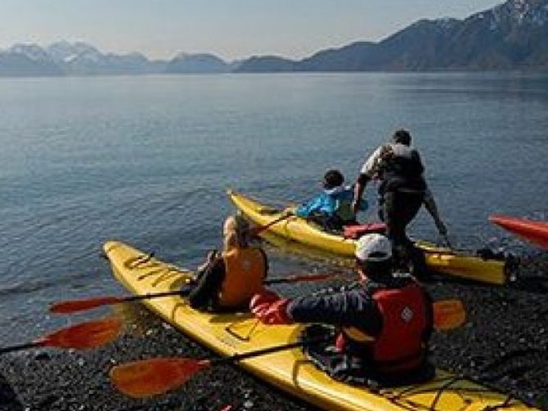 Resurrection Bay Kayaking Adventure