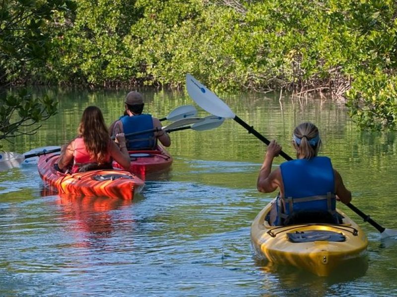 Key West Half Day Kayak Rental