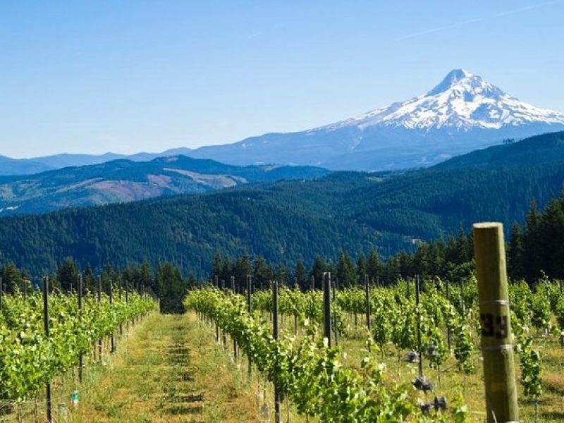 Mt. Hood/Gorge Waterfall Loop from Portland