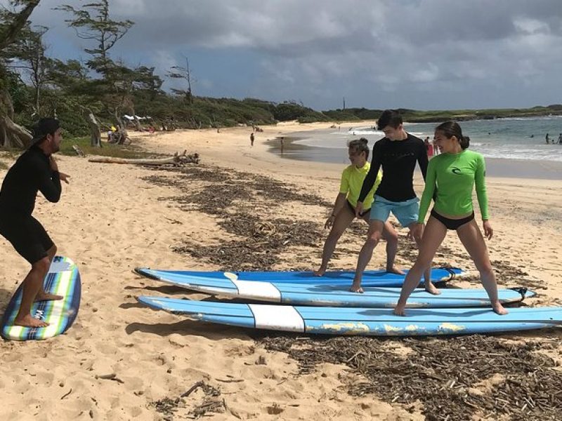 Private Group Surf Lesson