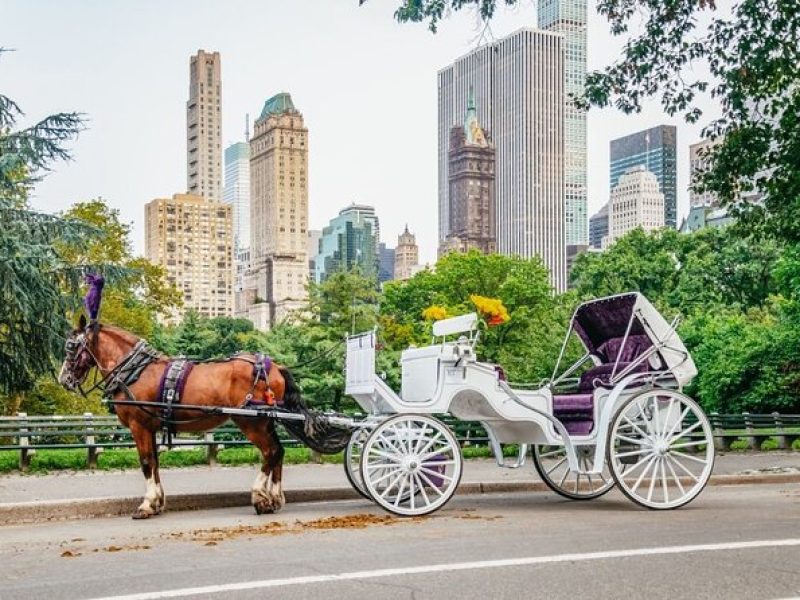 Private NYC Central Park Horse Carriage Ride (Guided) Since 1965™