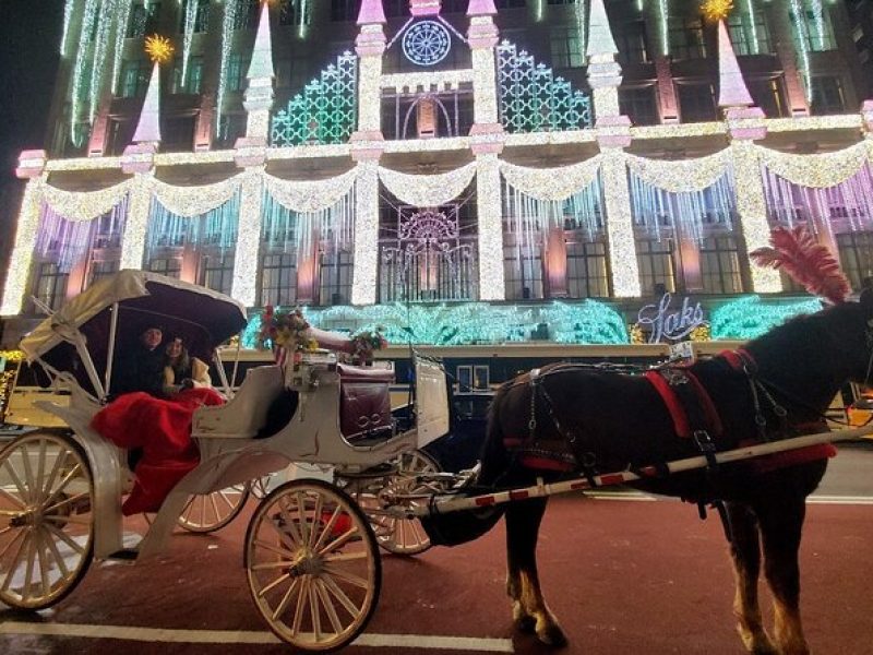 New York City Christmas Lights Private Horse Carriage Ride