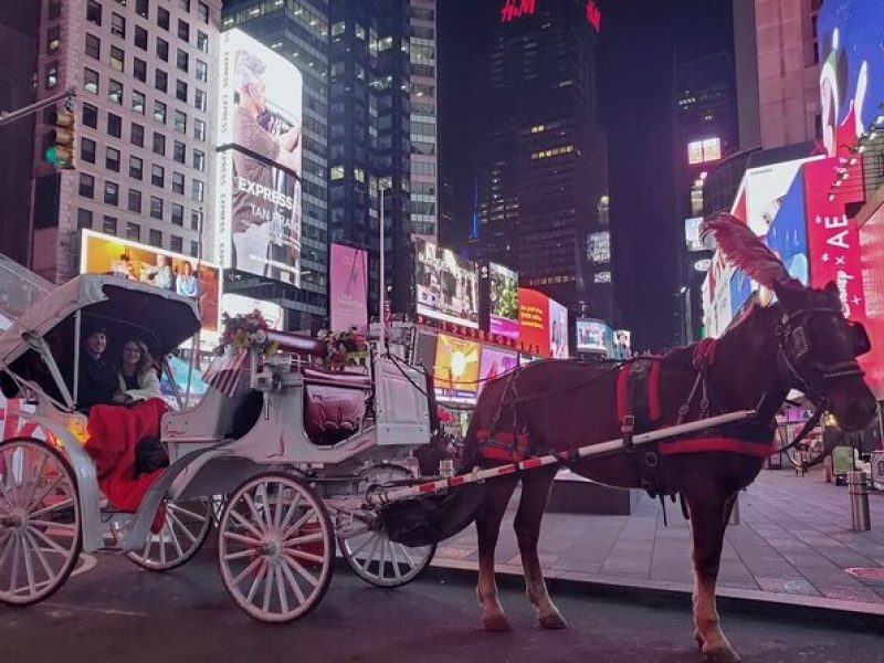 NYC Central Park&Rockefeller Center Private Tour