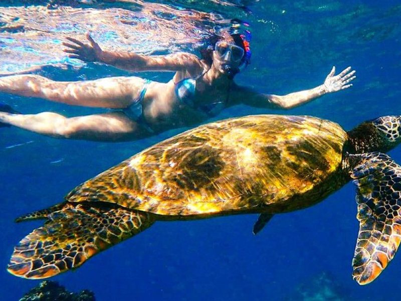 Turtle Town Clear Kayak & Snorkel Tour (11am – 1pm)