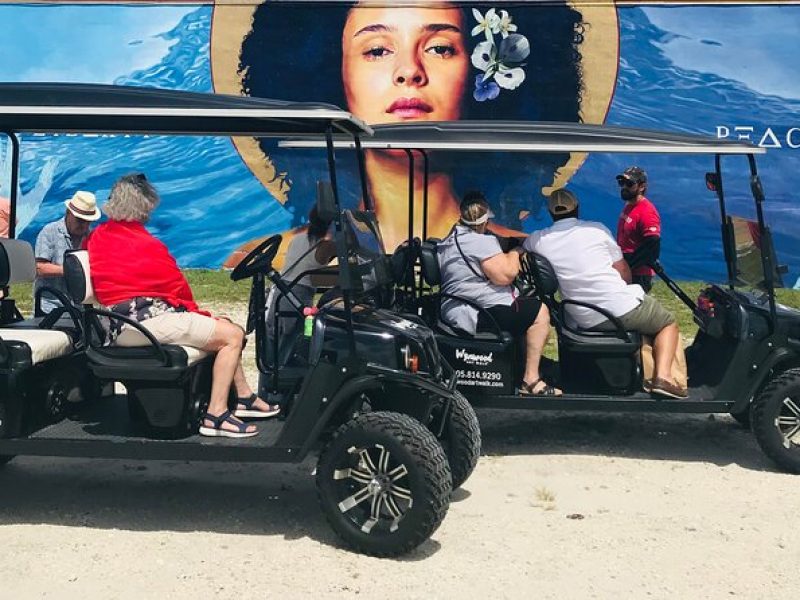 Small-Group Brewery Golf Cart Tour of Wynwood with a Local Guide