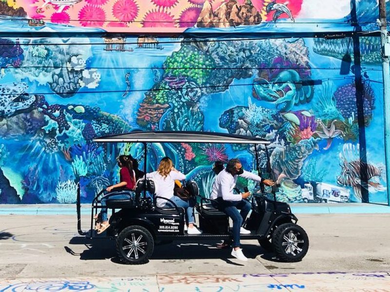 Wynwood Graffiti Golf Cart Small-Group Tour