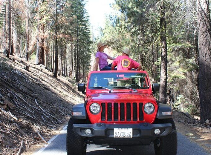 Jeep 4 X 4 Yosemite Park Tour with Hotel Pickup